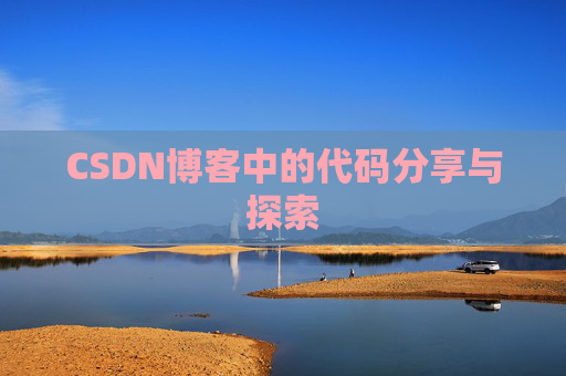 CSDN博客中的代码分享与探索